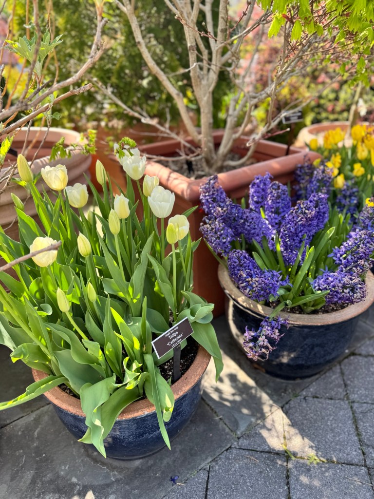 Washington Square Park: Historia y Cultura en Greenwich Village