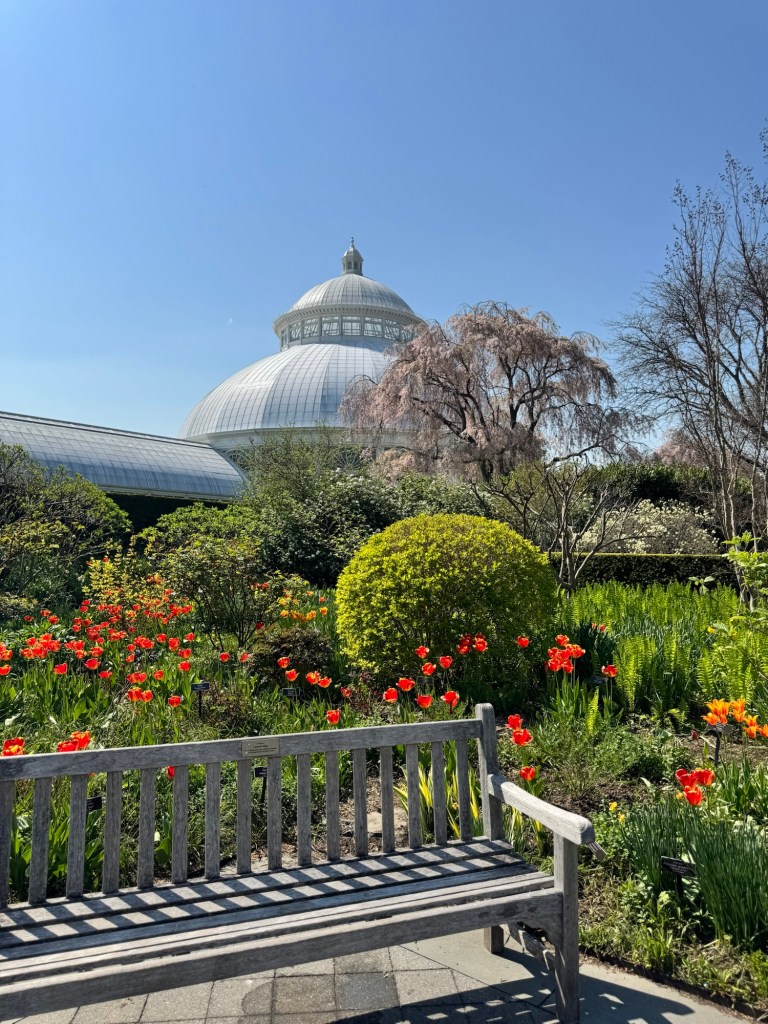 Jardin Botanico de Nueva York ubicado en el Bronx