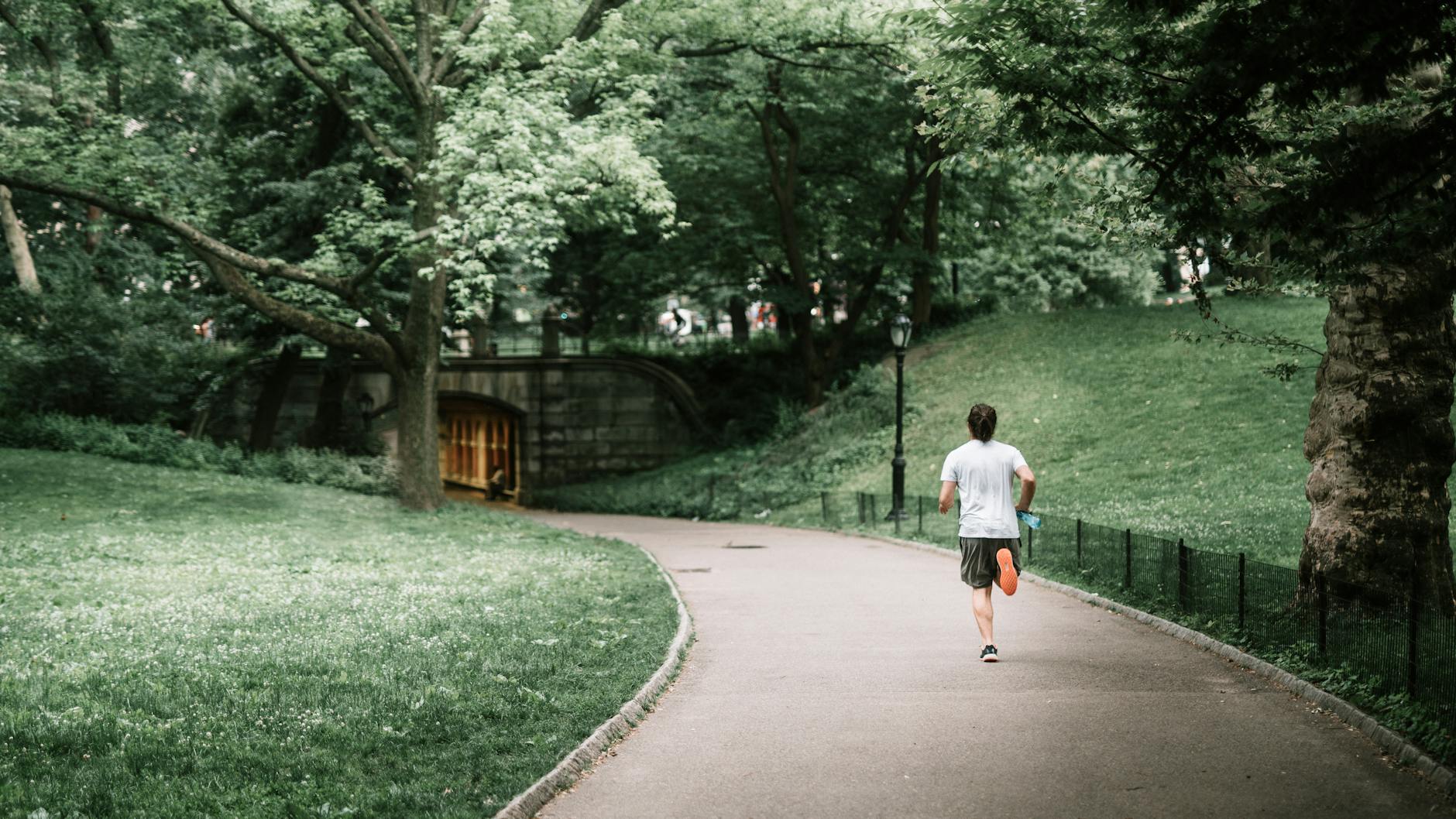 Los Mejores Parques y Jardines para Visitar en Nueva York